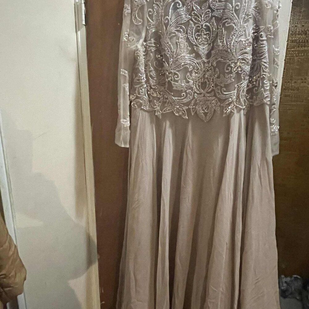Xscape Illusion Crew Neck Long Sleeve Floral Beaded Bodice Chiffon Gown 20W